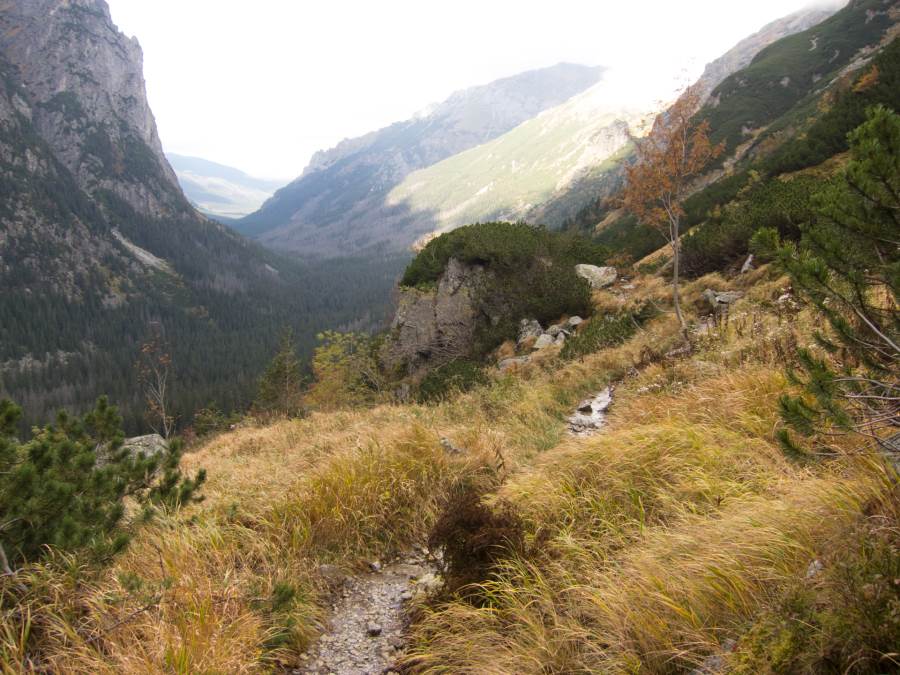 Hohe Tatra