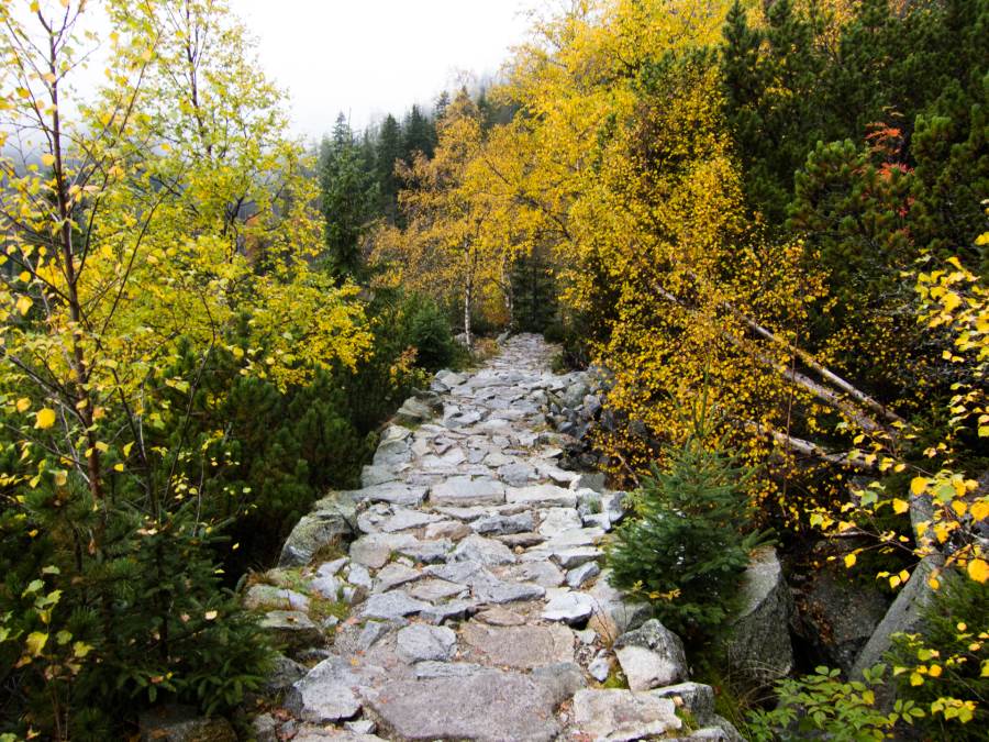 Hohe Tatra