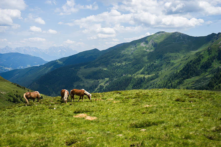 Zell am See