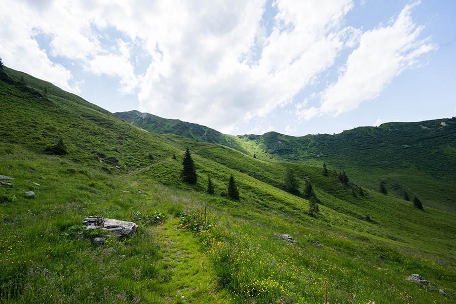 Zell am See