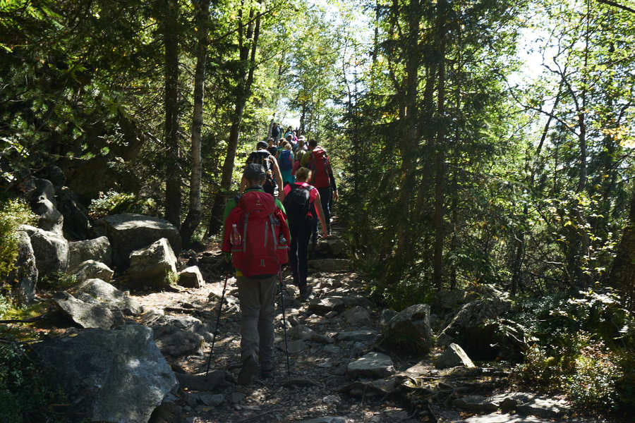 Hohe Tatra