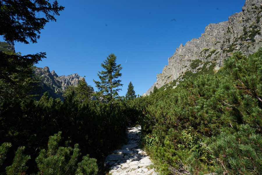 Hohe Tatra