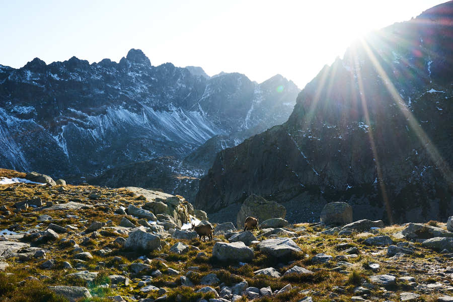 Hohe Tatra