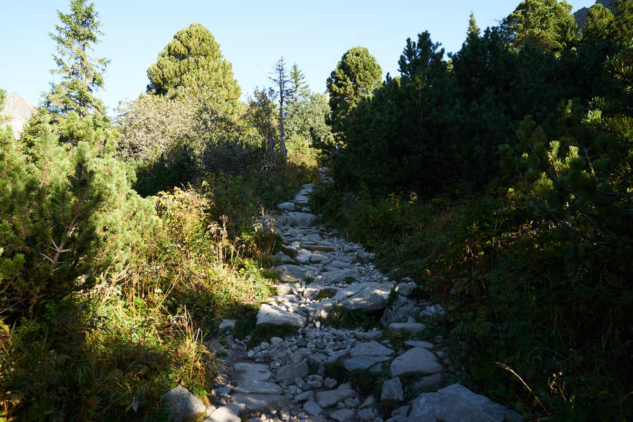 Hohe Tatra