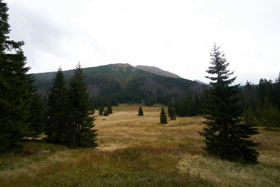 Hohe Tatra