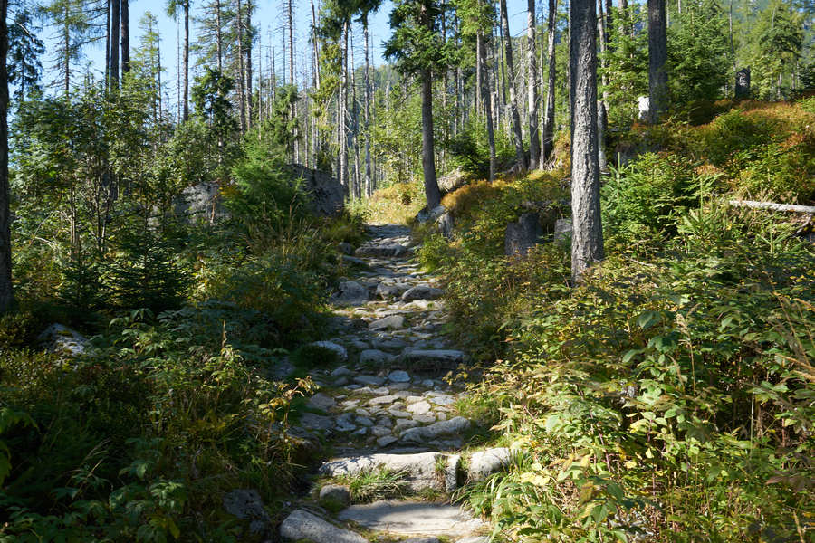 Hohe Tatra