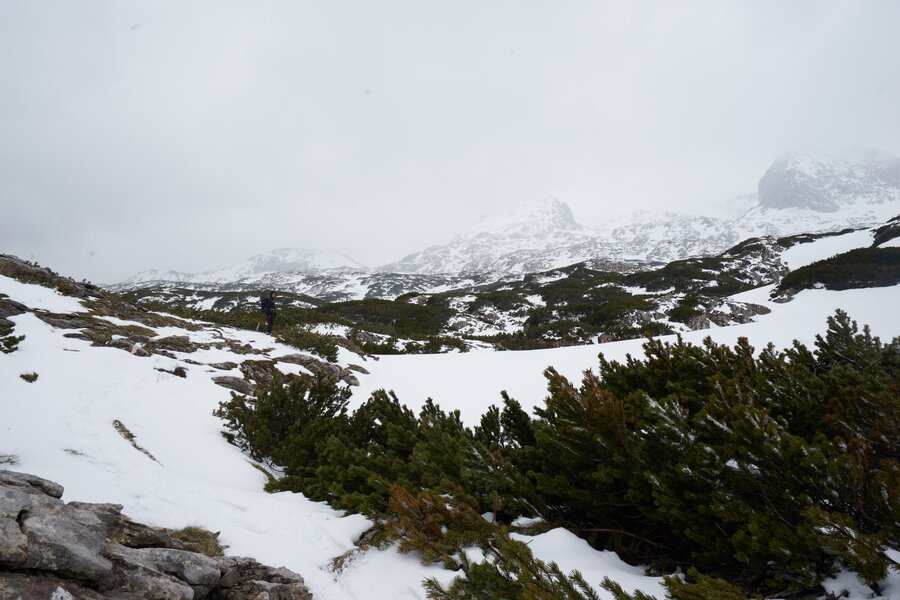 Dachstein Plateau