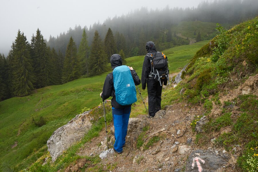 Salzburg & Salzburger Almenweg