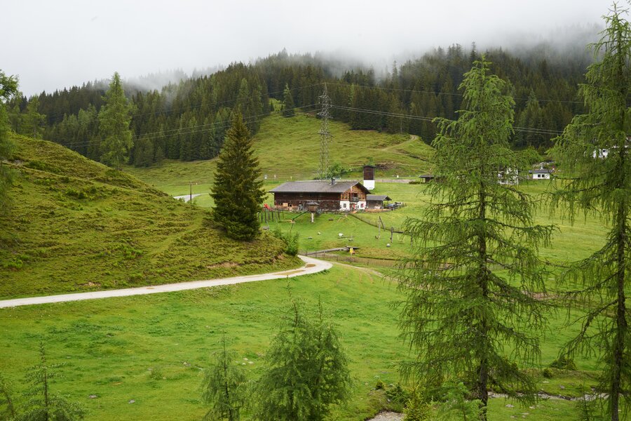 Salzburg & Salzburger Almenweg