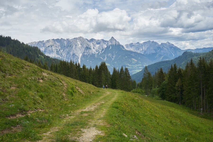 Salzburg & Salzburger Almenweg