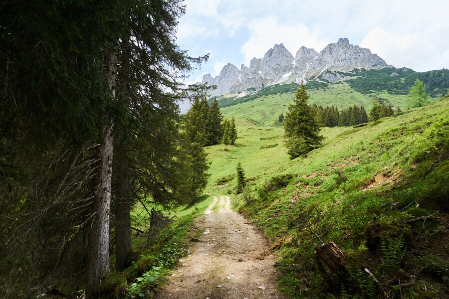 Salzburg & Salzburger Almenweg