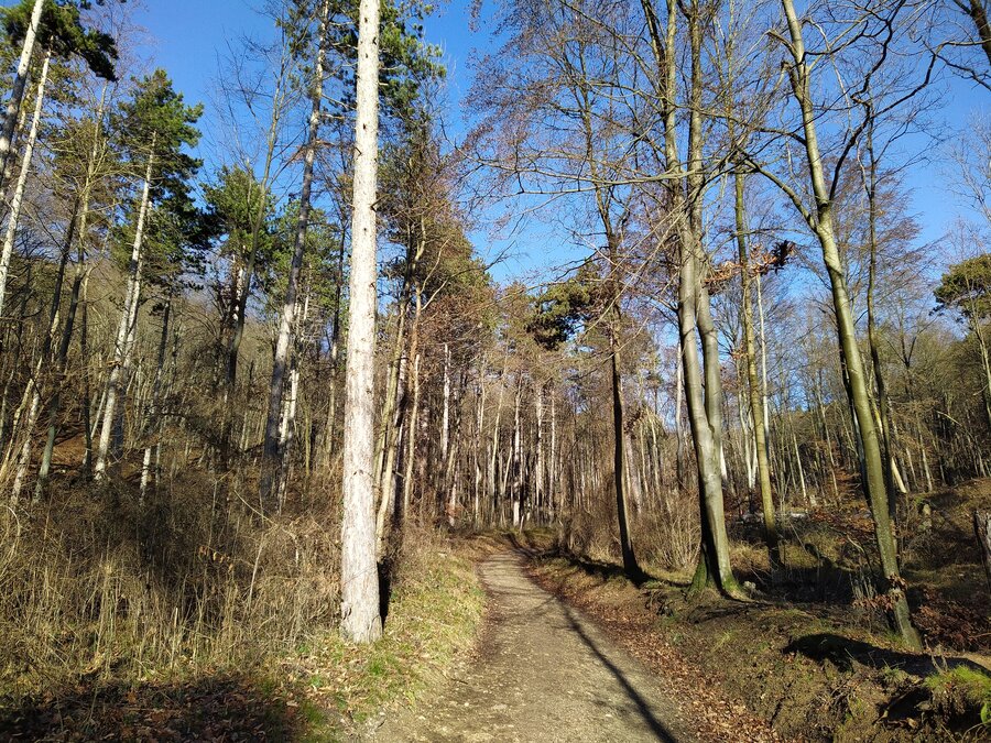 von Baden nach Wien