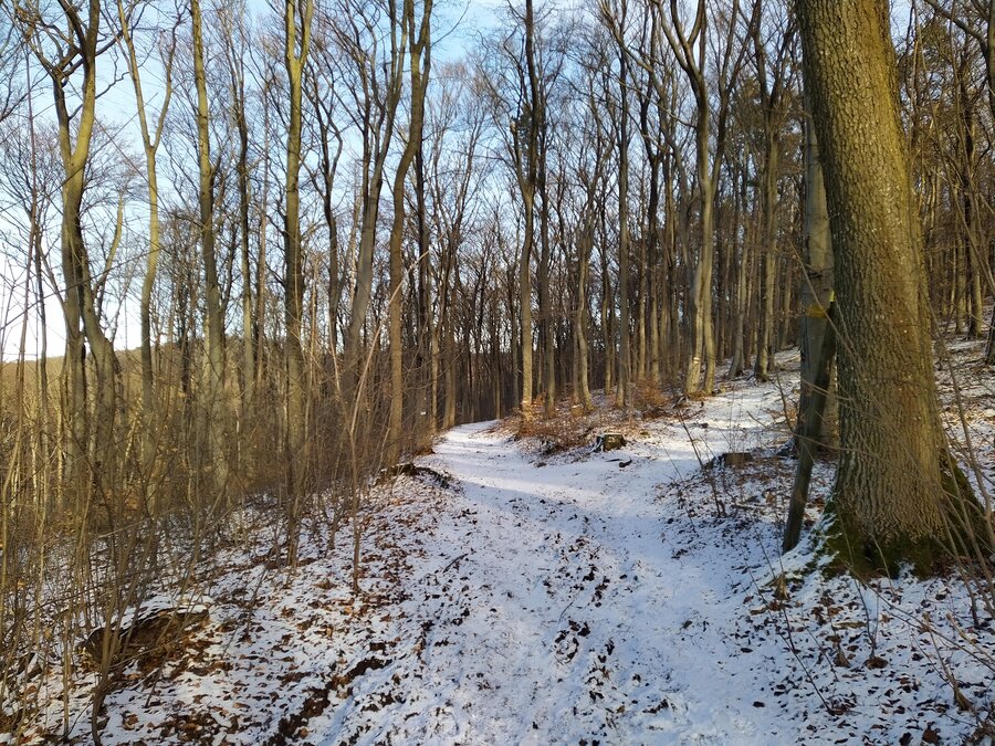 von Baden nach Wien