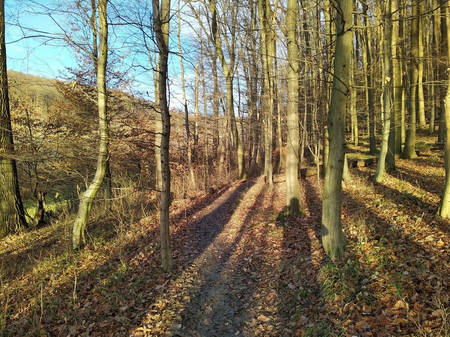 von Baden nach Wien