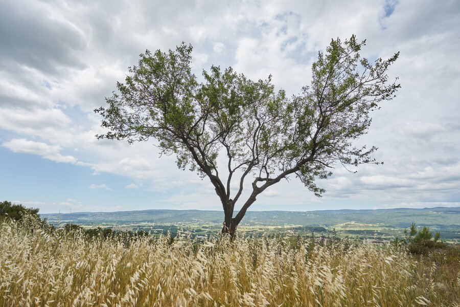 Urlaub in der Provence