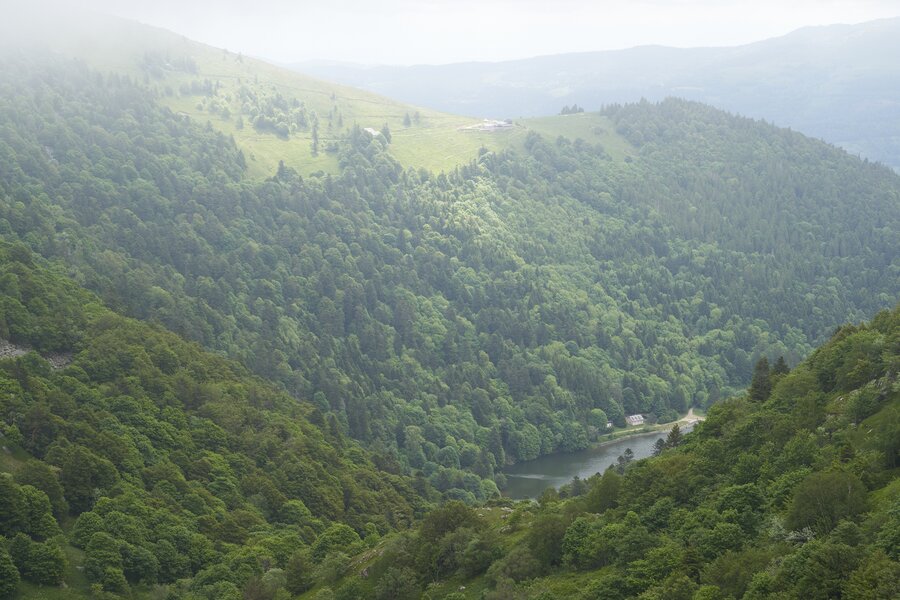 Vogesen Wanderung