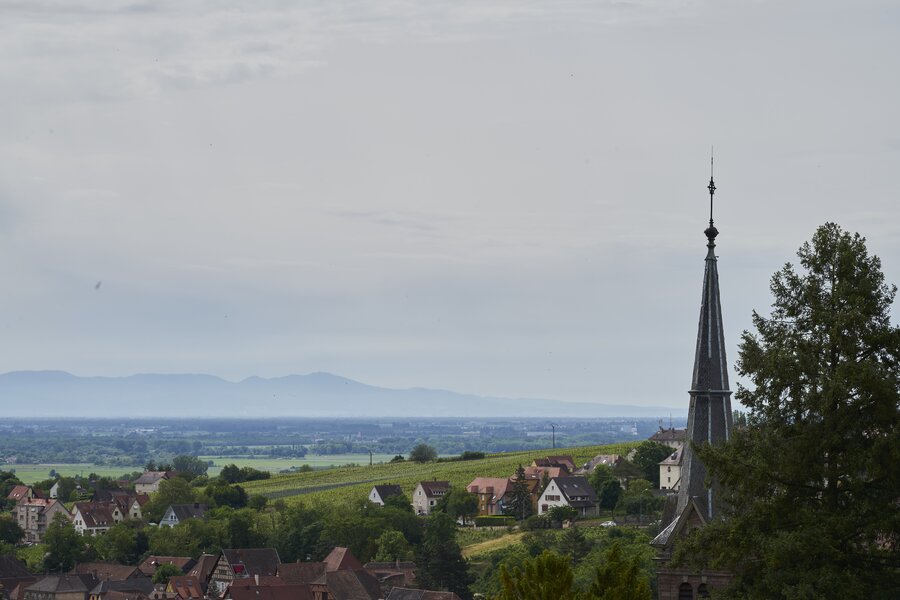 Vogesen Wanderung