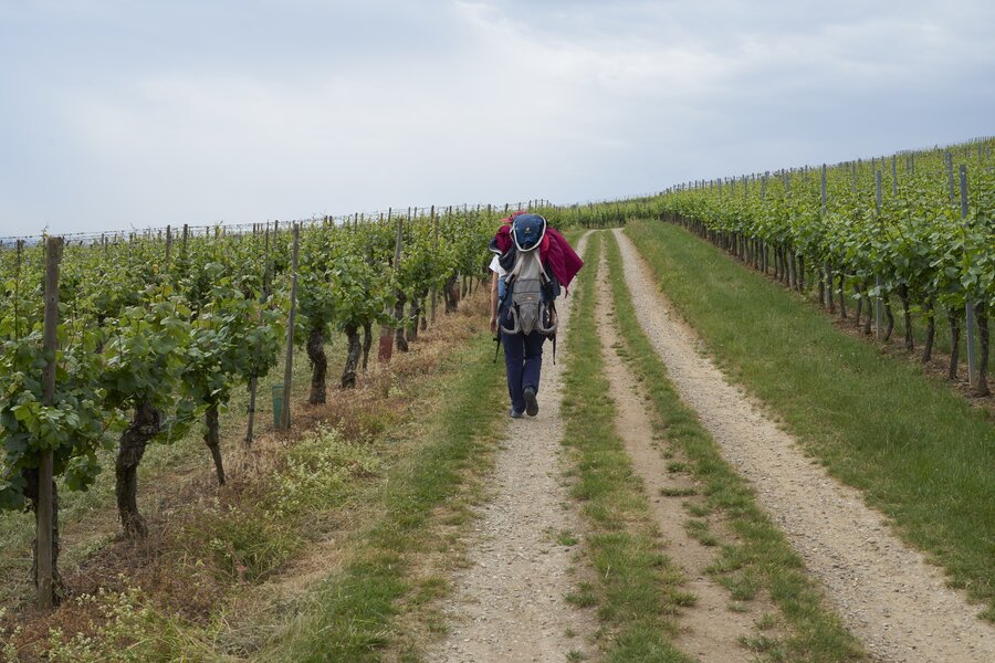 Vogesen Wanderung