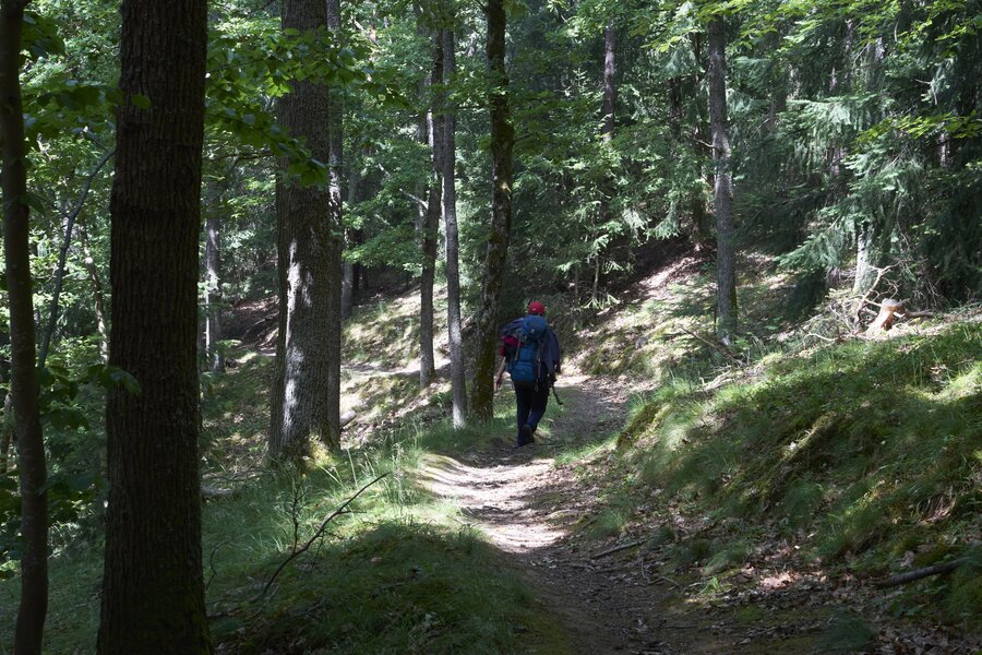 Vogesen Wanderung