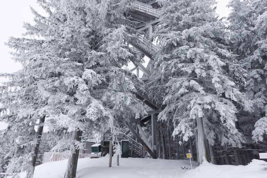 Hochwechsel Schneeschuhwandern