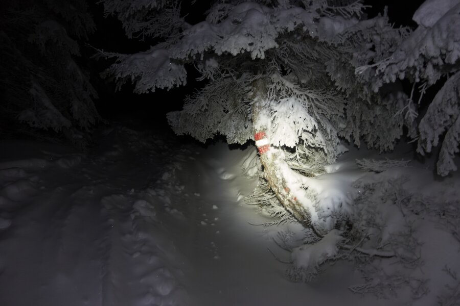 Hochwechsel Schneeschuhwandern