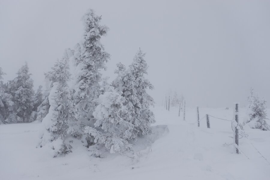 Hochwechsel Schneeschuhwandern