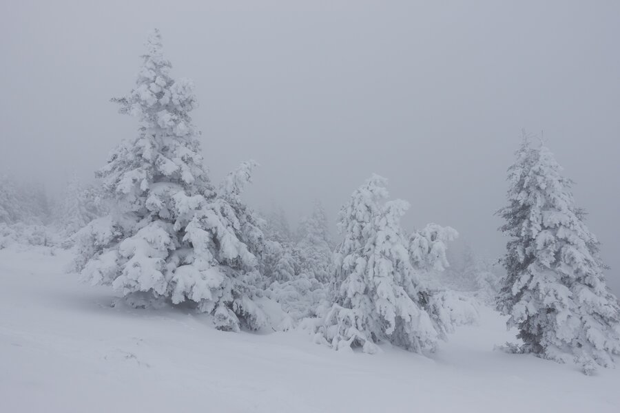 Hochwechsel Schneeschuhwandern