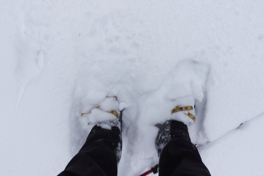 Hochwechsel Schneeschuhwandern