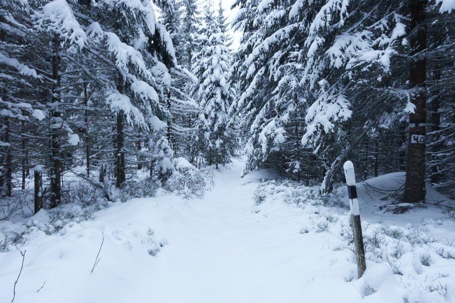 Hochwechsel Schneeschuhwandern