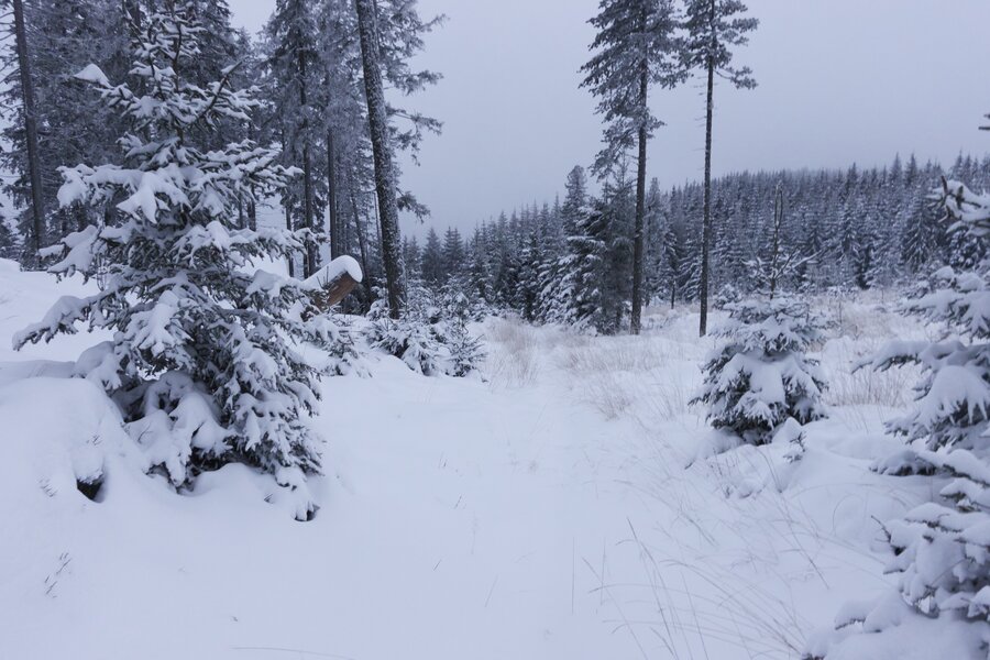 Hochwechsel Schneeschuhwandern