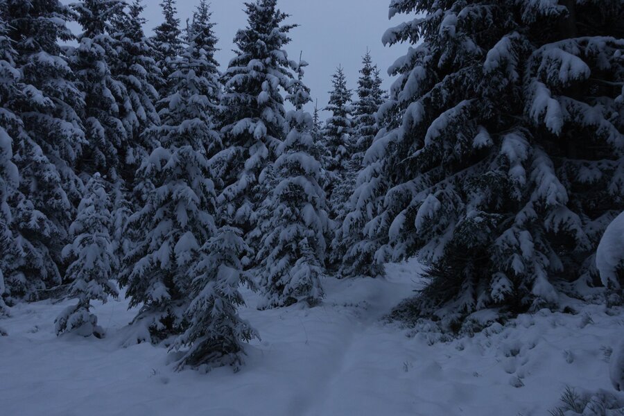 Hochwechsel Schneeschuhwandern