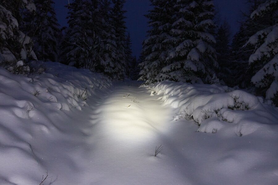 Hochwechsel Schneeschuhwandern