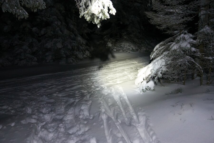 Hochwechsel Schneeschuhwandern