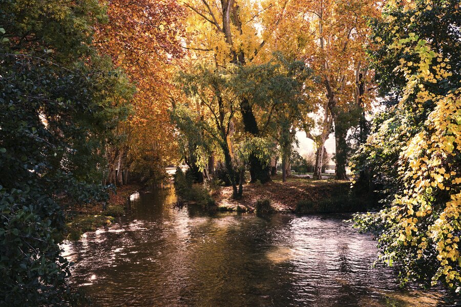 Narbonne