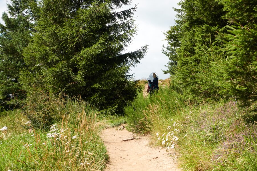 Auvergne