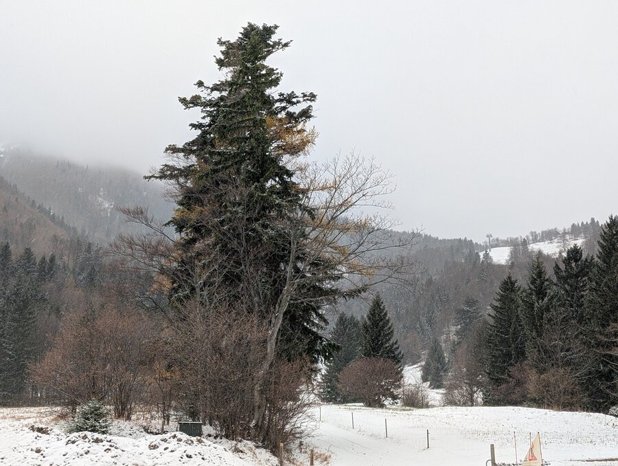 Fadensteig Schneeberg