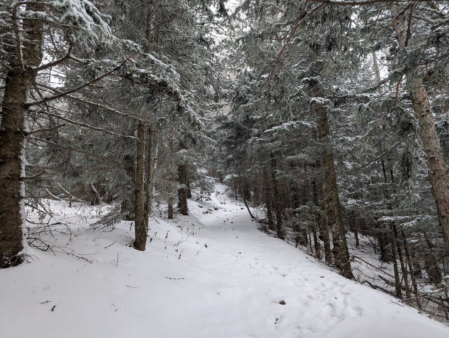 Fadensteig Schneeberg
