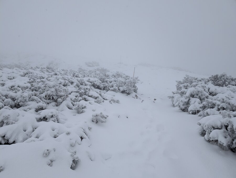 Fadensteig Schneeberg