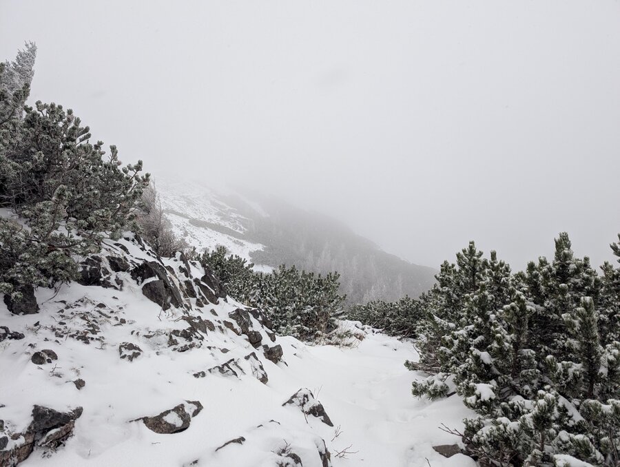Fadensteig Schneeberg